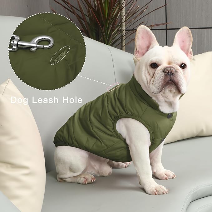 2 Layers Fleece Lined Warm Dog Jacket for Winter Cold Weather,Soft Windproof Large Dog Coat,Green XXL