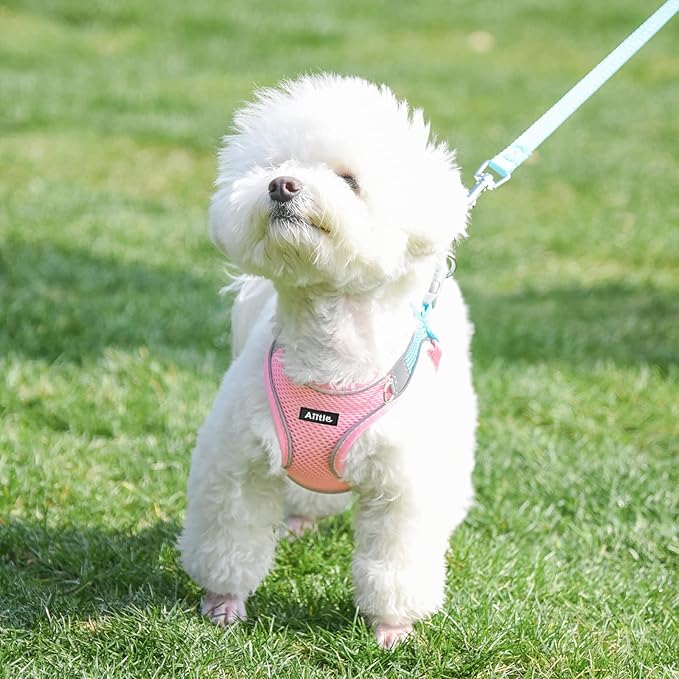 AIITLE Escape Proof Dog Harness - Step in Adjustable Dog Harness No Choke Over with Breathable Mesh and Quick-Release Buckle for Summer- Outdoor Walking, Camping, Training for Medium Dogs Pink XL