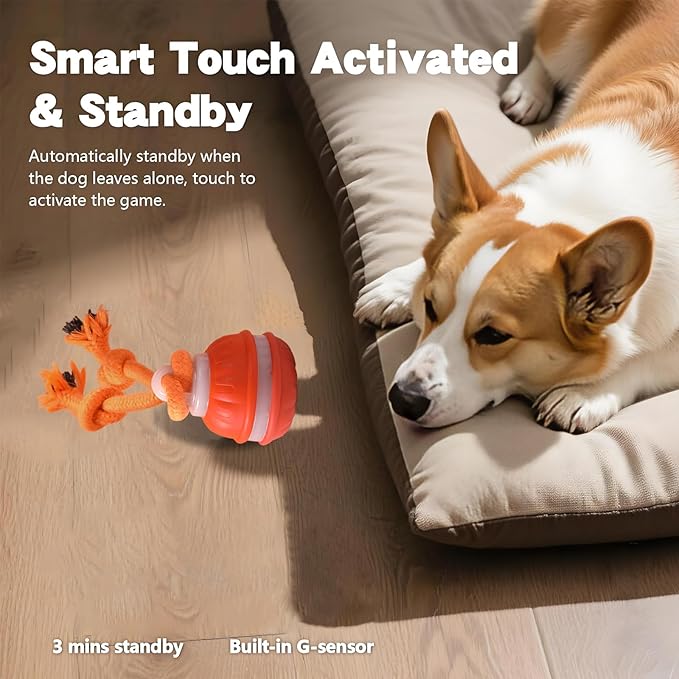 Interactive Dog Toys, Random Path Electric Automatic Moving and Rolling Dogs (Orange)