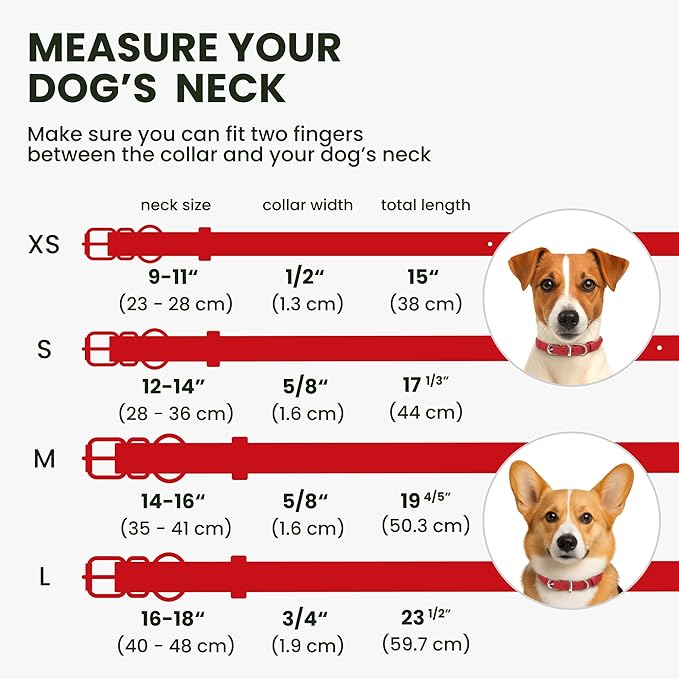 BRONZEDOG Rolled Leather Dog Collar for Small Medium Large Dogs with QR ID Tag (L: 16-18 Inch, Scarlet Red)