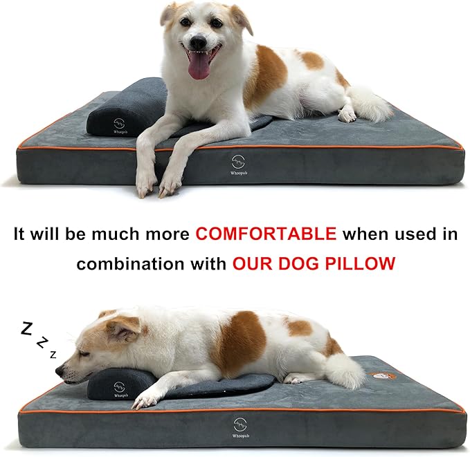 Dog Orthopedic and Crate Beds, Made of Memory and High Resilience Foram, Two-Sided Use, Providing Soft and Relatively Hard Support, with an Extra Inner Waterproof Protector (Gray, Small)