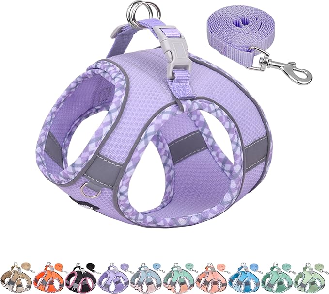 AIITLE XXS Dog Harness & Leash Set - Breathable Reflective No-Choke Small Dog Harness for Teacup Puppies, Indoor/Outdoor Use - Boston Terrier, Maltese, Chihuahua (Purple, XXS)