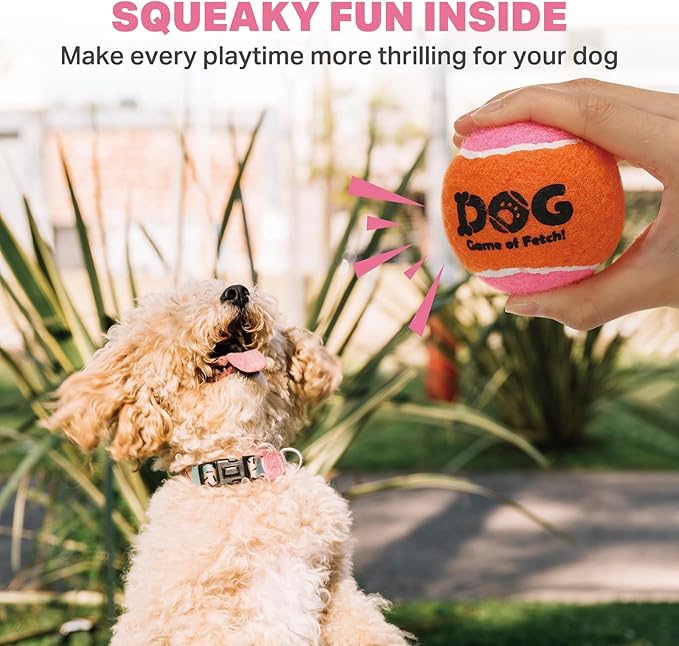 AMA SPORT Squeaky Tennis Balls for Dogs 2.5" Small Medium Dog Tennis Balls for Throwing and Fetching Dog Toys for Training, Exercise, High Bouncing 4 Pack (Orange Pink)