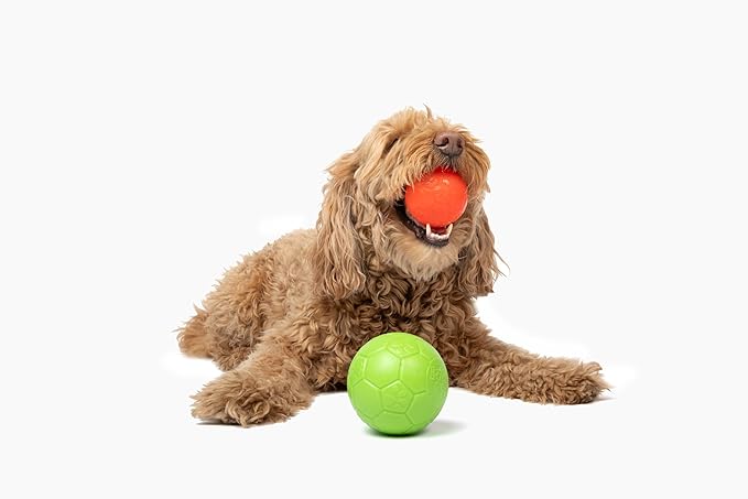 Jolly Pets Mini Jolly Soccer Ball; Floating-Bouncing Dog Toy; 4" Orange