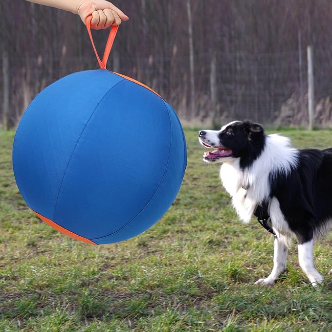 Dog Herding Ball for Dogs & Puppies, Toy Balls for Cattle, Australian Shepherd, Non-Chewing Activities, Medium Dog Toy | Oxford Fabric Cover, Pump, with Patch Repair Kit (18inch)