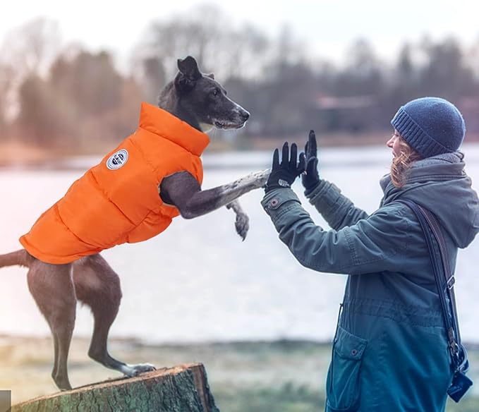 Kuoser Dog Coat Warm Dog Puffer Jacket, Windproof Dogs Padded Vest Lightweight Cold Weather Coats Pet Snowsuit Soft Puppy Winter Clothes for Medium Large Dogs, Button Design, Easy On/Off, Orange L