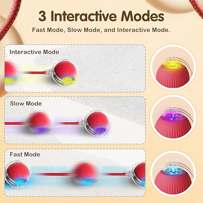 Interactive Cat Toy Ball, 2025 Upgraded Cat Toys for Bored Indoor Adult Cats, Self Rolling Interactive Dog Ball Toy, Automatic Smart Pet Toy Ball Kitten Toys (Gray)