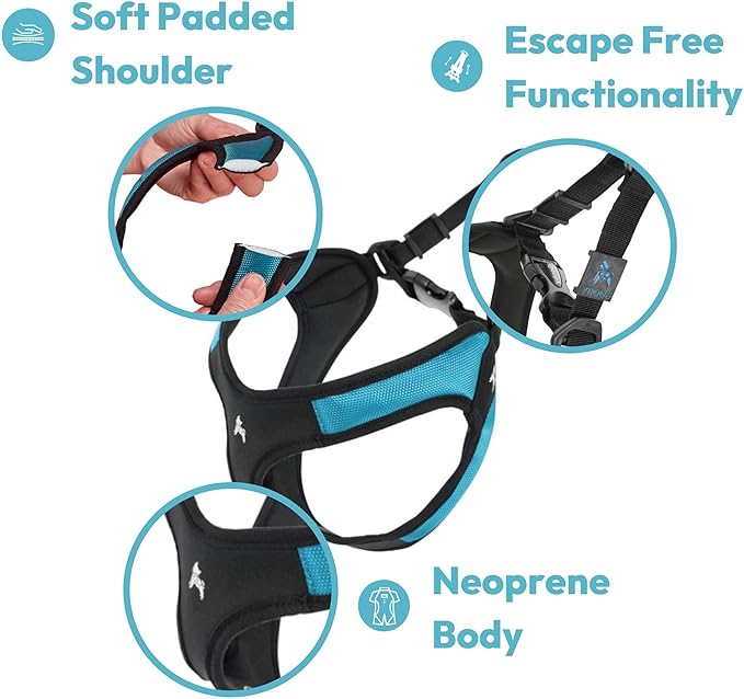 Gooby Hot Pink Small Dog Harness, Easy Fit No Pull with Quick Release Buckle, Machine Washable, Escape Free, Sporty Style