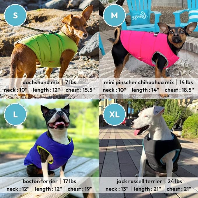 Gooby Padded Vest Dog Jacket - Solid Turquoise, Small - Warm Zip Up Vest Fleece Jacket with Dual D Ring Leash Water Resistant for Small to Medium Dogs