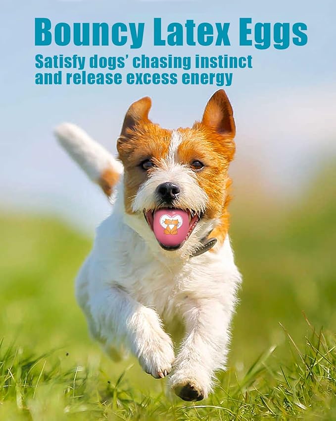 Dog Toys Squeaky, Funny Puppy Balls Pet Toy Pack, Interactive Latex Rubber Squeak Egg Ball for Puppies Small Medium Breed Dogs