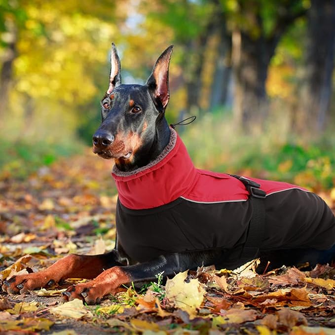 IDOMIK Dog Winter Coat, Reflective Waterproof Dog Jacket for Cold Weather, Warm Pet Coats for Small Medium Large Dogs, High Collar Doggy Fleece Snow Jacket, Winter Vest with Adjustable Buckle,XL