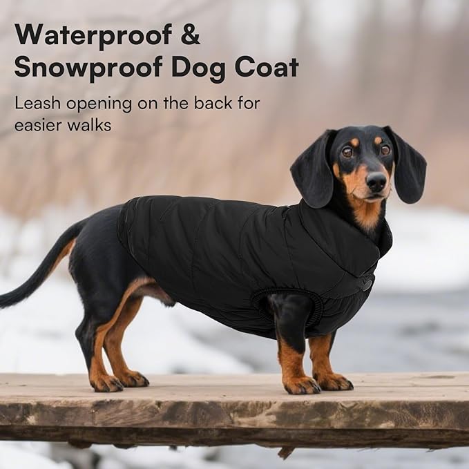 ASENKU Windproof Dog Winter Coat Waterproof Fleece Jacket Cold Weather Pet Apparel for Small Medium Large Dogs (Black, XS)