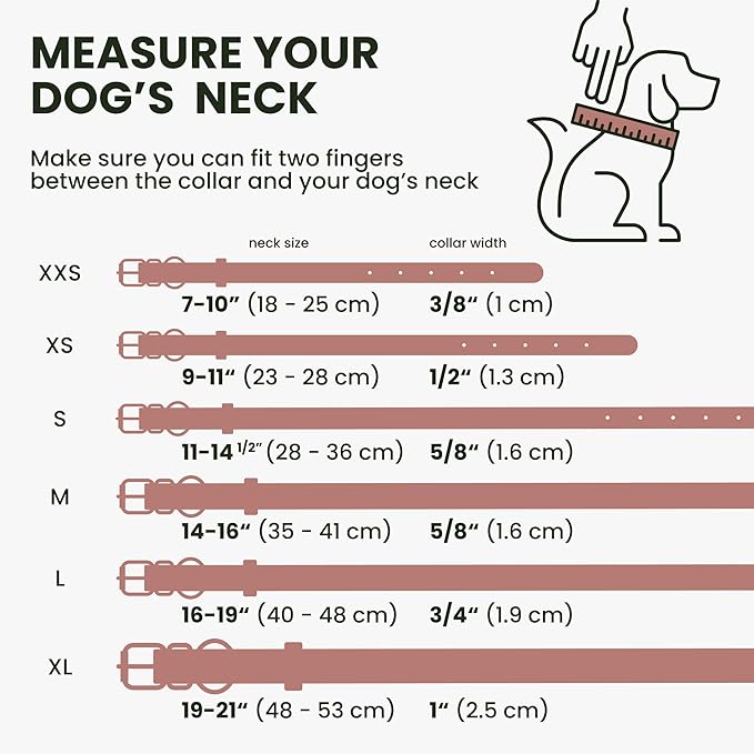 BronzeDog Rolled Leather Dog Collar with QR ID Tag, Adjustable Soft Round Collars for Small Medium Large Dogs Puppy (11" - 14 1/2" Neck Size, Blush)