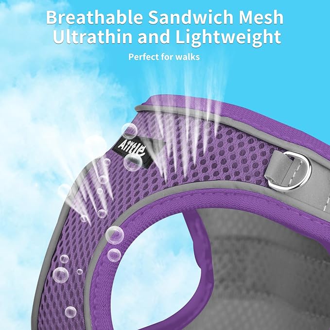 AIITLE Comfortable Dog Harness and Leash Set for Walking - Summer Step in Vest Harness,Reflective Bands, Adjustable No Pull Puppy Essentials, for Small Dogs and House Cats Purple XS
