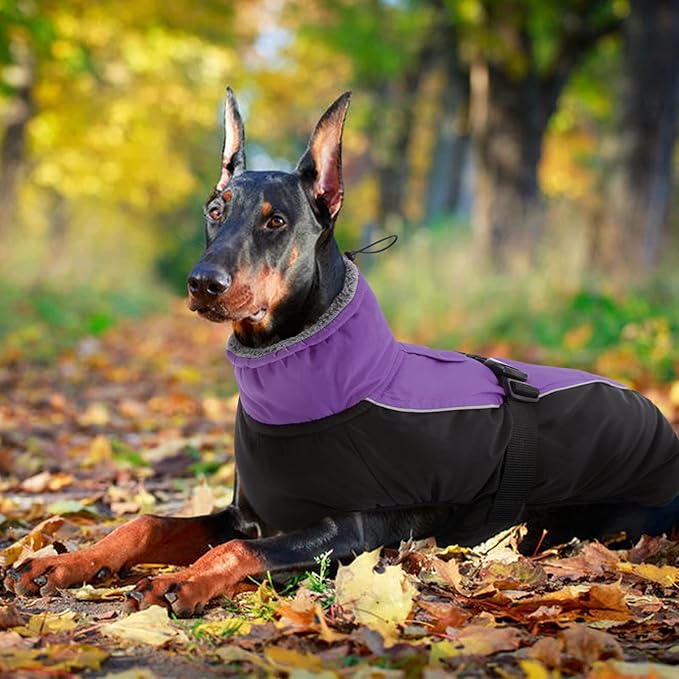 IDOMIK Dog Winter Coat, Reflective Waterproof Dog Jacket for Cold Weather, Warm Pet Coats for Small Medium Large Dogs, High Collar Doggy Fleece Snow Jacket, Winter Vest with Adjustable Buckle,XXL