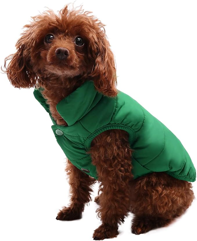 ASENKU Dog Winter Coat - Waterproof Windproof Dog Jacket, Warm Snowproof Doggie Puffer Vest for Cold Weather, Lightweight Snow Coats for Small Medium Large Dogs (XL, Green)