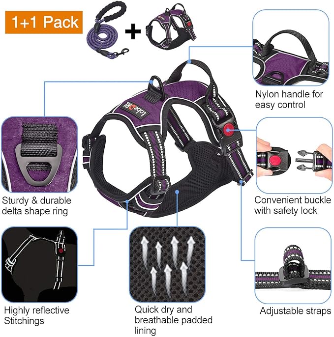 No Pull Dog Harness Adjustable Reflective Oxford Easy Control Medium Large Dog Harness with A Free Heavy Duty 5ft Dog Leash (S (Neck: 13"-18", Chest: 17.5"-22"), Purple Harness+Leash)