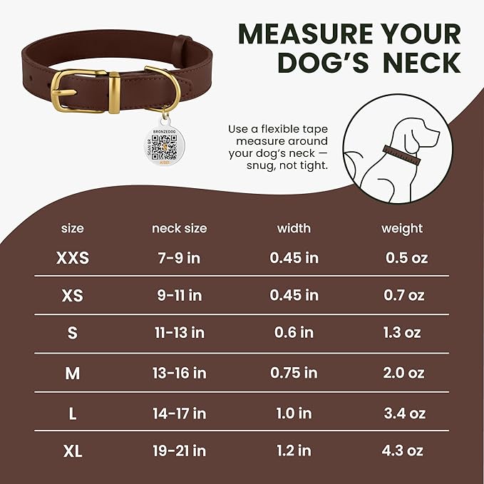 BRONZEDOG Leather Dog Collar with QR ID Tag Basic Pet Collars for Small Mini Dogs Cats Puppies (9-11 Inch (Pack of 1), Dark Brown & Gold Buckle)