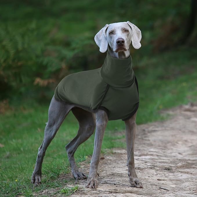 ROZKITCH Large Dog Shirts, Pet Windproof Warm Cold Weather Jacket Vest Cozy Jumpsuit Apparel Outfit Clothes for Walking Hiking Travel Sleep Green L