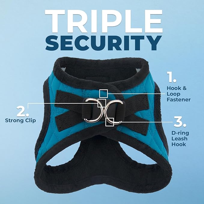 Best Pet Supplies - All Weather Mesh / Plush, Reflective, No Pull Harness for Small, Medium Dogs, Cats - Secure with Hook & Loop Fastener, Buckle, Double D-Rings - Turquoise Plush, M