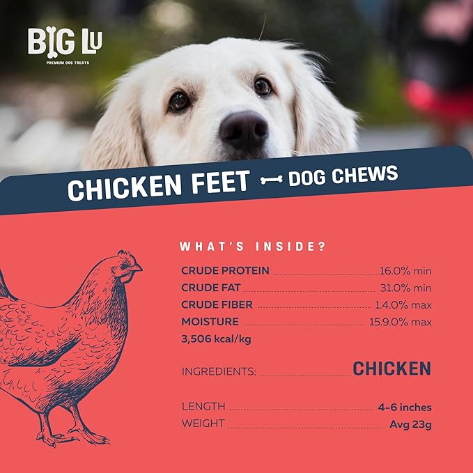 Big Lu – Nail-Free Chicken Feet Dog Chews, 100% Natural Single-Ingredient Treats, Rawhide-Free, Long-Lasting, Rich in Glucosamine and Chondroitin for Joint Health (30 Count, Chicken Feet)