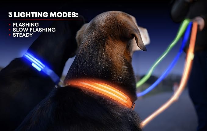 ILLUMISEEN LED Dog Collar USB Rechargeable - Bright & High Visibility Lighted Glow Collar for Pet Night Walking - Weatherproof, in 6 Colors & 6 Sizes (Yellow XX-Small)