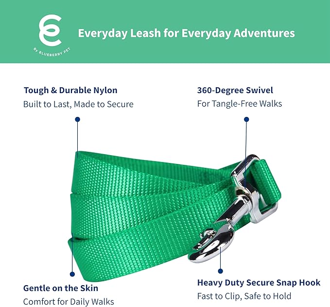 Blueberry Pet Essentials Emerald Dog Leash for X-Small -5' * 3/8" Dogs | Heavy Duty Nylon Lead | Lightweight Puppy & Cat Leash for Walking & Training