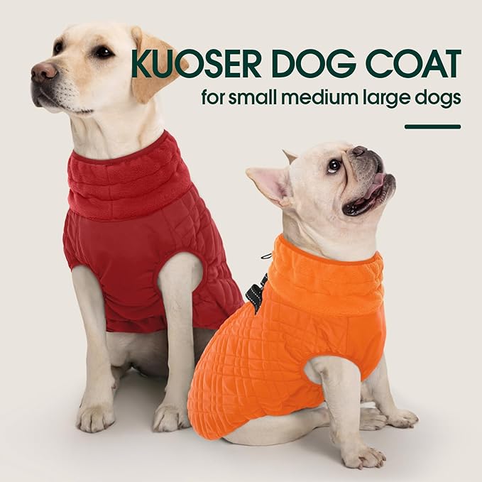 Kuoser Medium Dog Coat | All-Breed Thermal Wear with Windproof Layer | Reflective Tabs Enhance Visibility in Snow, Snap Buckles Simplify Dressing, Orange M