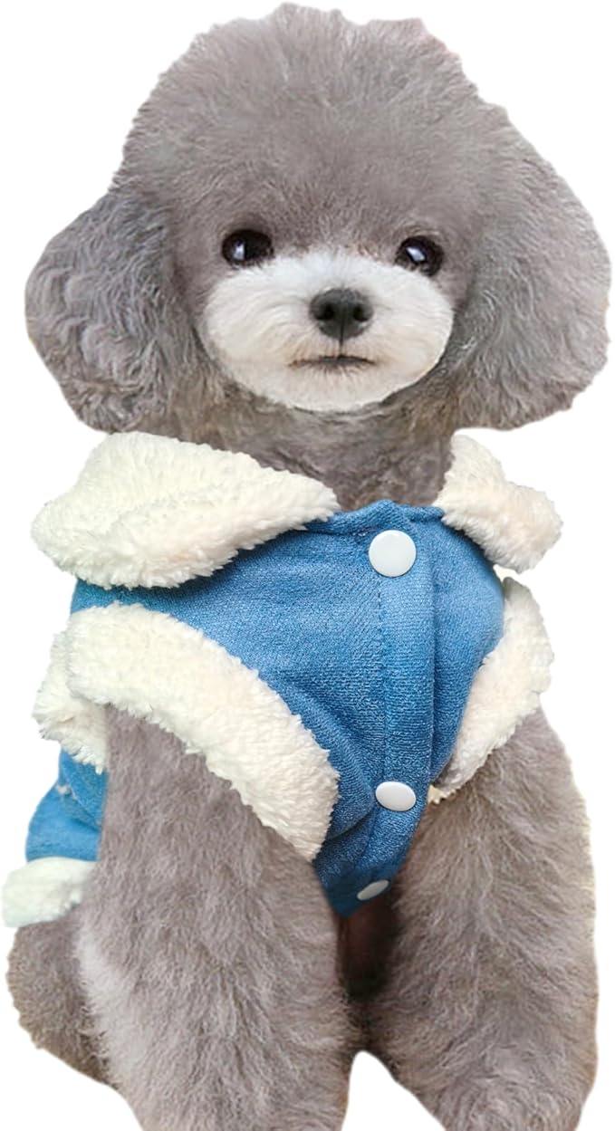 Jecikelon Bowtie Dog Cold Weather Coat Fleece Lining Warm Pet Puppy Turtleneck Dogs Winter Clothes for Small Dogs with D-Ring (Blue, Large)