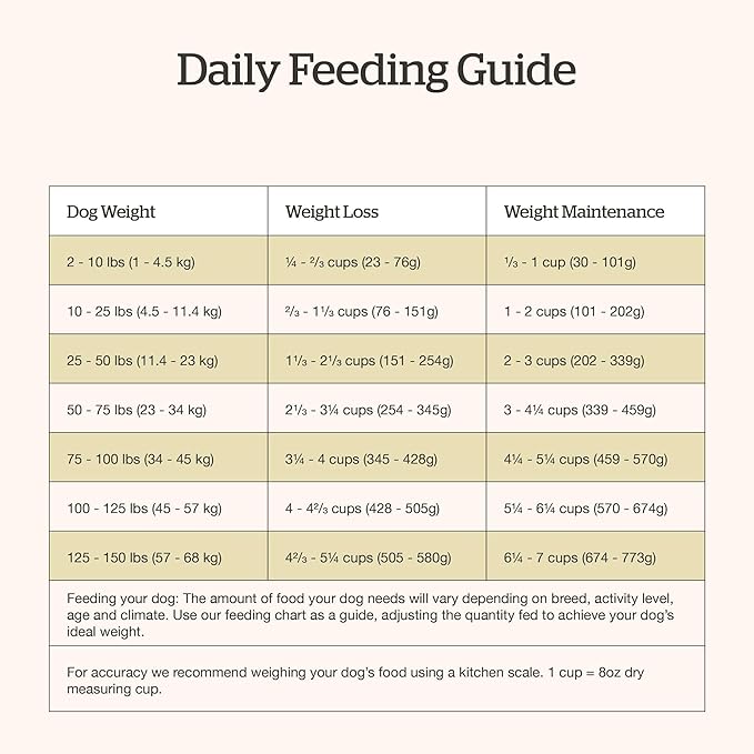 Now Fresh Good Gravy, Bone Broth Coated Kibble, Dry Dog Food, Chicken Adult Recipe with Grains, All Breed Size, 22 lb Bag