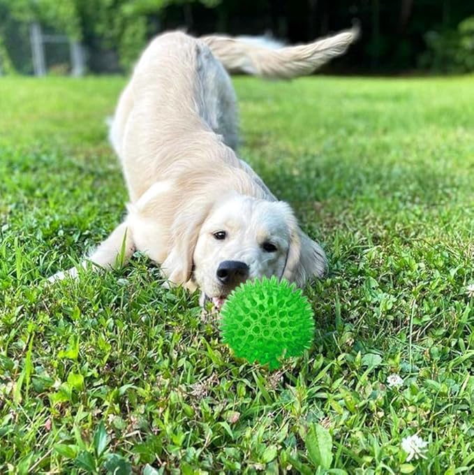 Cutie's PetBox Squeaky Rubber Spike Toy Ball for Medium, Large Dogs (3.5 Inch, Green)