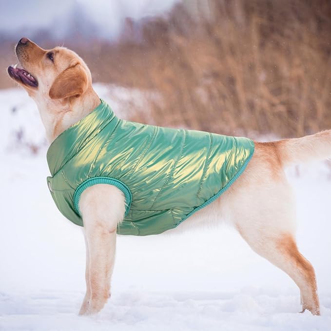 ASENKU Dog Winter Coat - Waterproof Windproof Dog Jacket, Warm Snowproof Doggie Puffer Vest for Cold Weather, Lightweight Snow Coats for Small Medium Large Dogs(Mint Green, XS)