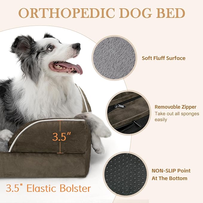 Comfort Expression Orthopedic Dog Bed for Small Dogs 24x16 Inch, Waterproof Supportive Egg Crate Foam Small Pet Bed with Removable Bolsters, Dog Couch with Washable Cover & Non-Slip Bottom, Dark Green