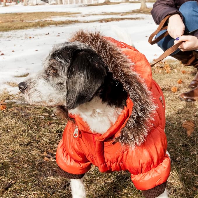 PET LIFE Classic Metallic Fashion Pet Dog Coat Jacket Parka w/ 3M Insulation and Removable Hood, Small, Metallic Orange