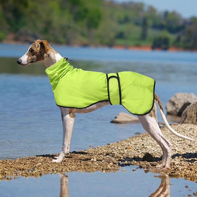 Dog Raincoat with Reflective Bar, Rain/Water Resistant, Adjustable Vest - Dog Raincoats for Greyhounds, Lurchers and Whippets - Light Green - XXL