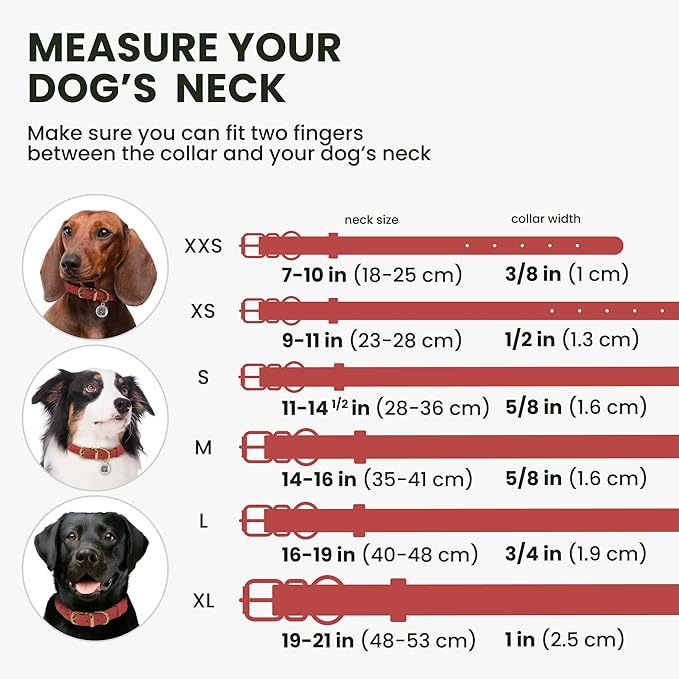 BronzeDog Rolled Leather Dog Collar with QR ID Tag, Adjustable Soft Round Collars for Small Medium Large Dogs Puppy (14" - 16" Neck Size, Coral Pink)