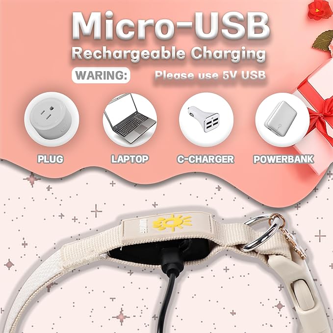 DOGWONG LED Dog Collar - Heavy Duty Light up Collars - Rechargeable Waterproof - Lighted Dog Collar for Night Walking, Hiking, Camping(White,M)