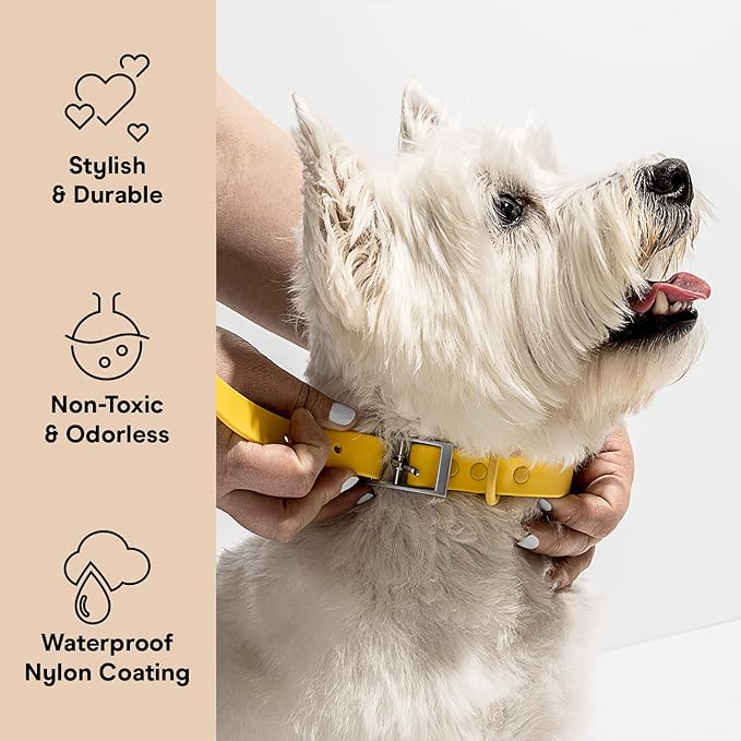 Wild One Dog Collar, Easy-Clean, All Weather Flex-Poly Strap with Metal, Durable, Dirt and Odor Resistant (Butter, M)