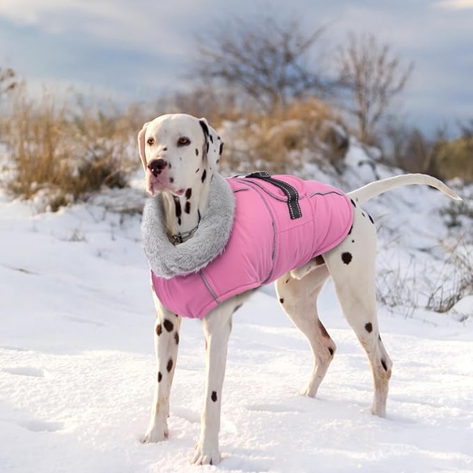 Lelepet Warm Dog Coats for Medium Dogs Waterproof Dog Winter Jacket Reflective Pet Fleece Vest Windproof Cold Weather Coats with Adjustable Buckle & Leash Hole, Pink, M