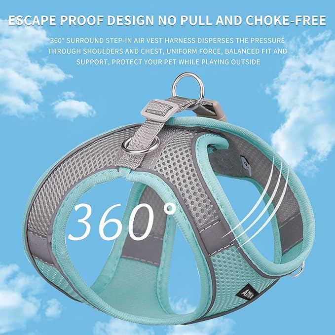 AIITLE Dog Harness, Summer No-Pull Cat Harness with a Leash, Adjustable Reflective Dog Vest, Cat Harness Escape Proof, Outdoor Walking, Camping for Extra Small Dogs and House Cats Turquoise XXXS
