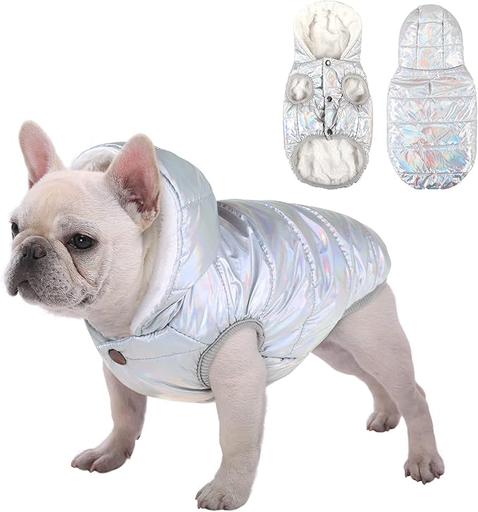 Windproof Waterproof Dog Coat Fleece & Cotton Lined Warm Jacket, Cold Weather Pet Apparel Clothes Vest for Small to Large Dogs (L, Silver)