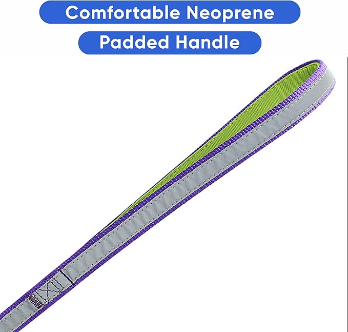 Pawtitas Personalized Dog Leash - Embroidered Custom Name & Phone Number, Reflective, 6 ft Long, Small, Purple Custom Tag
