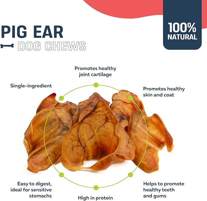 Big Lu – Pig Ear Dog Chews, 6 Count, All-Natural Single-Ingredient Pork Treats, Easily Digestible, Supports Joint Health with Glucosamine and Chondroitin