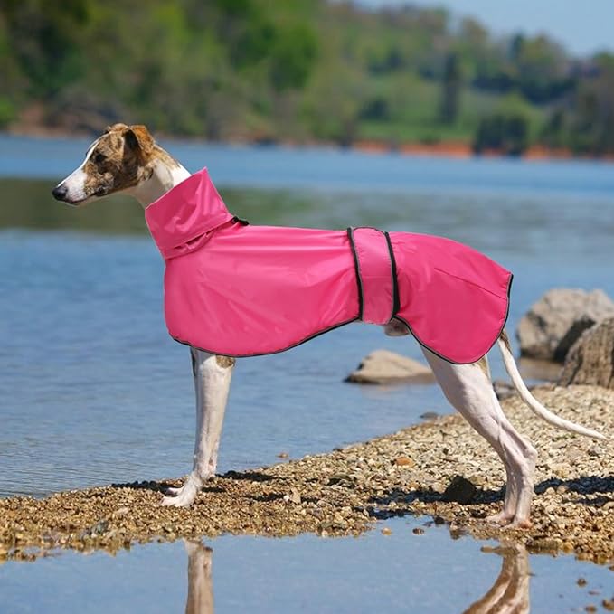 Dog Raincoat with Reflective Bar, Rain/Water Resistant, Adjustable Vest - Dog Raincoats for Greyhounds, Lurchers and Whippets - Pink - S