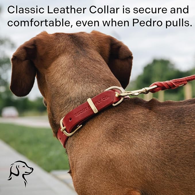 Classic Genuine Leather Dog Collar | Dog Collars for Medium Dogs, Small Dogs, Large Dogs & Extra Large Dog | Wide Dog Collar | Heavy Duty Dog Collar (Red, S: 0.5" Wide for 7.5"-10.5" Neck)