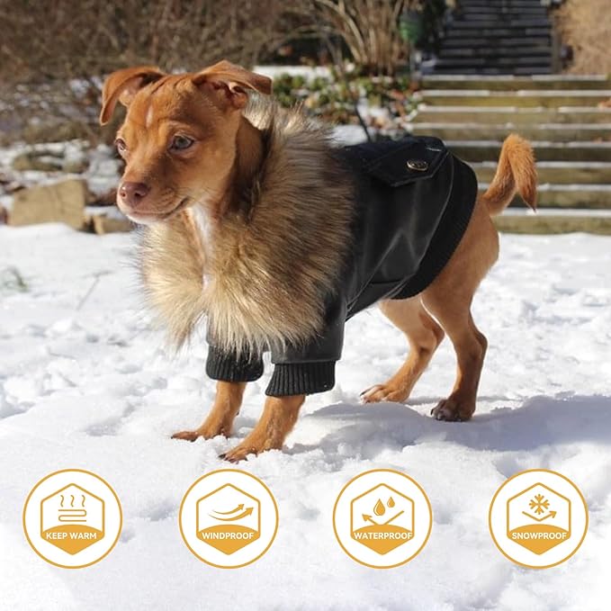 PETLESO Dog Coat for Small Dogs, Dog Leather Jacket Waterproof Windproof, Double Layer Warm Dog Winter Coat with Plush Lined, Black L