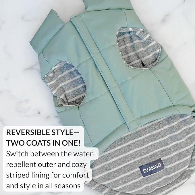 DJANGO Puffer Dog Coat – Warm Winter Dog Jacket & Water-Repellent Insulated Puffer Vest with Striped Lining, Harness Hole, Adjustable Fit for Small & Medium Dogs, Dachshunds – Sea Foam Green, Small