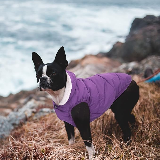 Fleece Hoodie for Dogs - Windproof Waterproof Coat, Winter Warm Jacket, Cold Weather Pet Apparel Clothes Vest for Small Medium Dogs (XS, Purple)