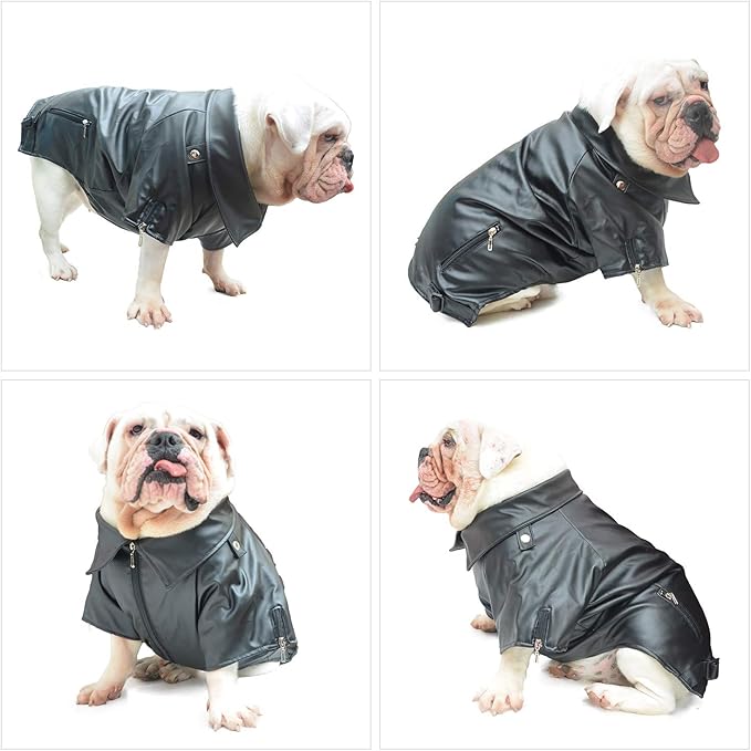 Lovelonglong Cool Dog Leather Jacket, Warm Coats Dogs Windproof Cold Weather Coats for Pugs Bulldog Pitbull Black B-M