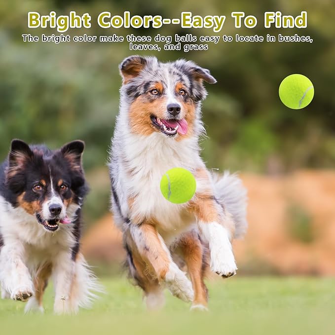 Magicorange Dog Tennis Balls, 20 Pack 2.5 inch Floatable Squeaky Tennis Balls for Fetch Exercise, Natural Rubber Squeaky Dog Balls Training Safe (Multicolor, 2.5inch)